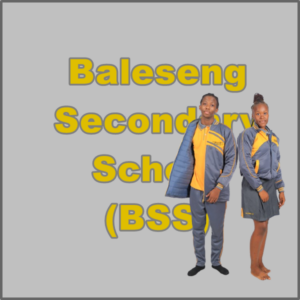 Baleseng Secondary School(BSS)